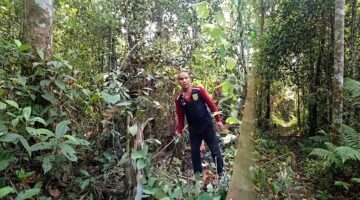 Kalau Mau Hutan Adat, Jangan di Tanah Kami,” Pemilik Lahan Singgersing Buka Suara